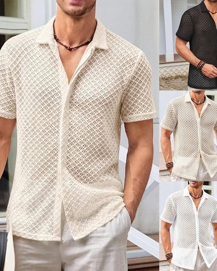 Fashion Solid Color Polo Collar Short Sleeve Mesh Shirt Men's Tops - ellashop.store