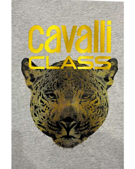 Cavalli Sweatshirt - ellashop.store