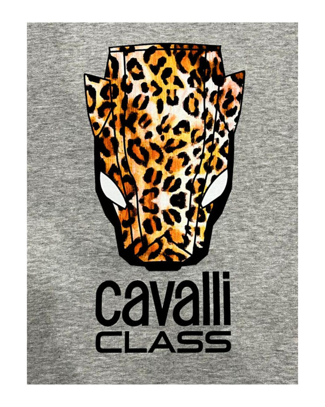 Cavalli Sweatshirt - ellashop.store